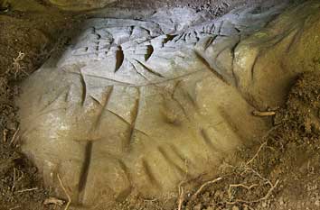 Nouvelles découvertes dans la haute vallée de l’Essonne