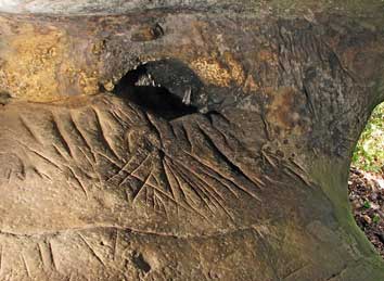 Nouveaux abris gravés à Villiers-sous-Gretz